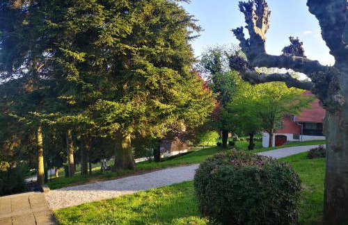 La Dolce Vita - Foto 52