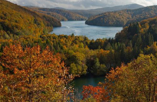 Guesthouse Zafran - Foto 56