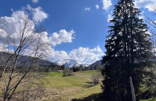 "Hirsch", Oberstaufen-Steibis - Foto 9