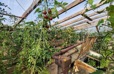 Cały dom na wyłączność - Ostoja Leśna Cisza - Foto 46