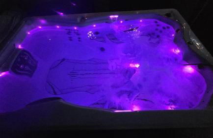 Mountain View Modern Oasis - Swim Spa -Steam -More - Foto 19