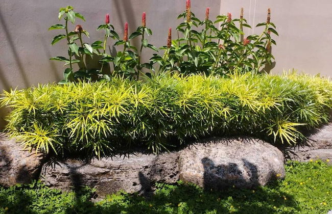 Kartika Dahayu Villa - Foto 18