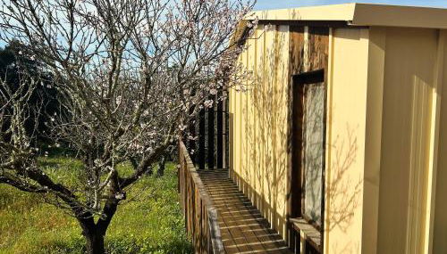 Cabanas de Melides - Foto 5