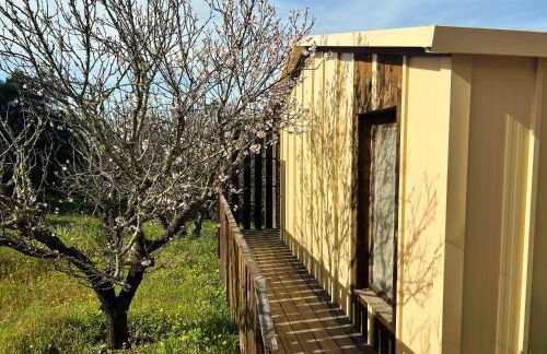 Cabanas de Melides - Foto 5