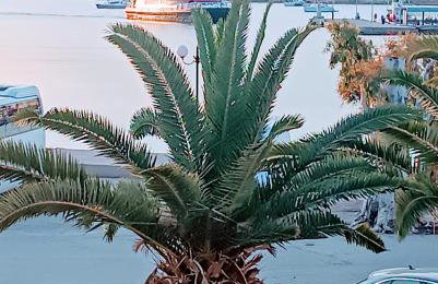 Hermione Port Luxury Residence - Foto 7