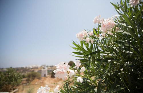 Nissos Suites - Foto 46