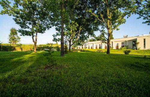 Quinta Chão da Bispa - Foto 37