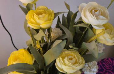 Channel-Appartement cosy avec piscine, jardin & nature aux portes de Paris - Foto 6