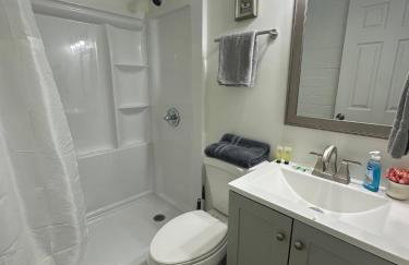 Newly remodeled bright studio - Photo 4
