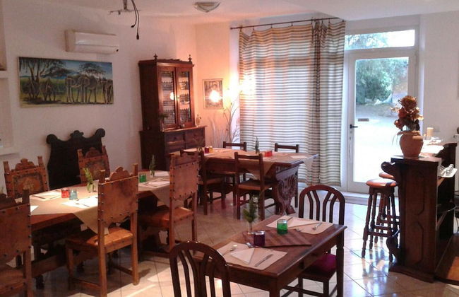 Artisti del Cavallo Tourism - Foto 11