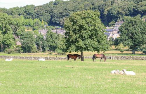 Brightside - Foto 28