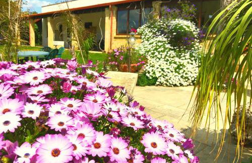 AGRITURISMO LE TAGLIATE - Foto 62