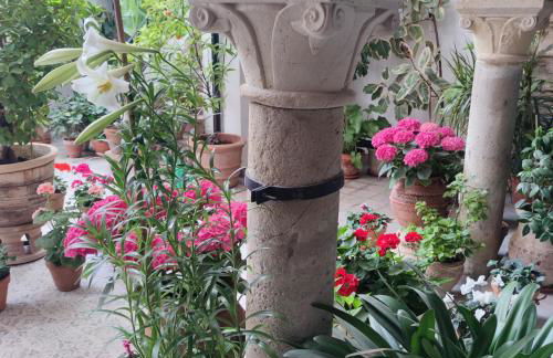 El patio de Regina - Foto 48