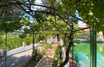 Orange Room Your refuge of tranquility and privacy - Foto 21