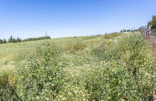 La posada de Itálica - Foto 38