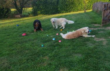 Les Girouteaux La bergerie - Photo 34