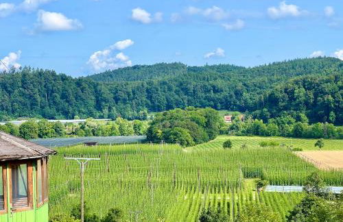 Einzigartiger Panoramablick, Bodensee und Messe in der Nähe - Foto 27