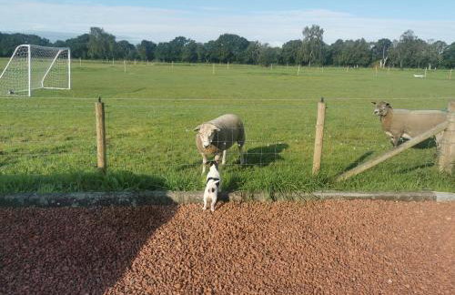 Cosy Coppice Cottage - Foto 12