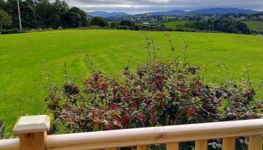 The Snug, Mayobridge - Foto 3, Garden