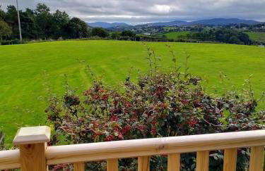 The Snug, Mayobridge - Foto 3