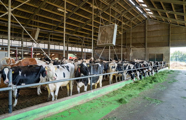 Eibergen Holiday Retreat Home - Foto 22