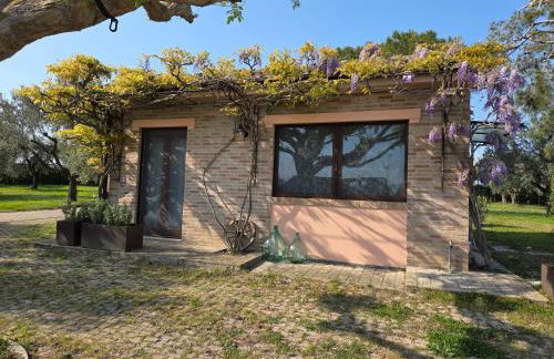 Casa Sabbatini - Foto 9