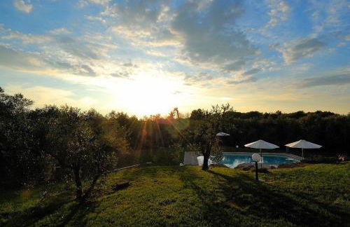 Cerchio Verde - Foto 34