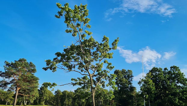 Tranquil Oasis With Sauna and Whirlpool-by Traum - Foto 4