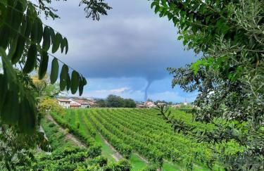 Sveva's House - Foto 15