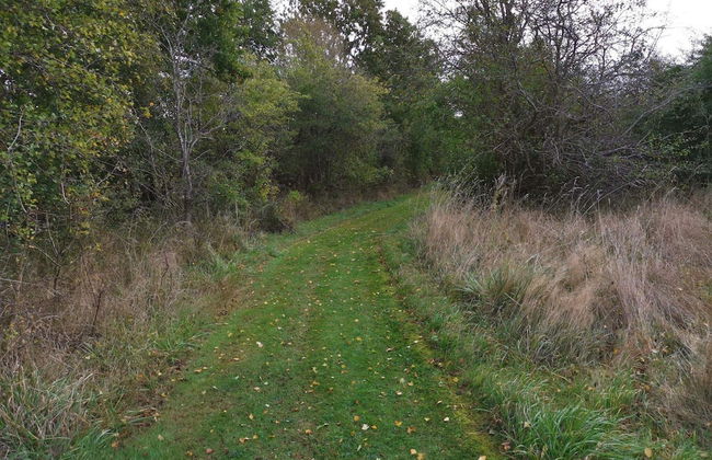 Secluded Holiday Home in Lolland near Sea - Foto 9