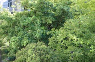 Chmielna 73C City Centre Apartment - Photo 30