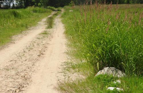 Agroturystyka Biebrzańska Kraina - Foto 40