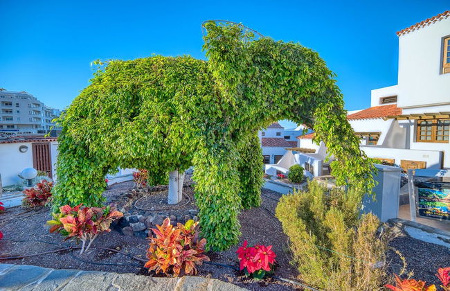 Ona Las Rosas - Photo 40