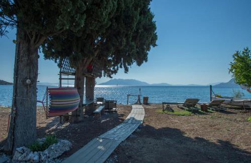 Villa Maria - Photo 55