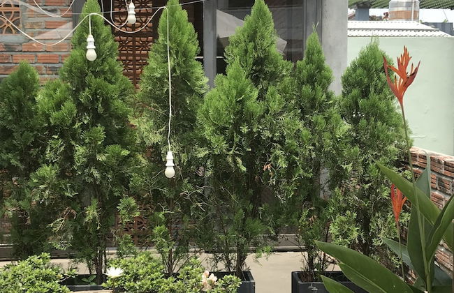 Ngoi House - Foto 33