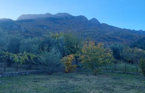 ESTELA House - Foto 45