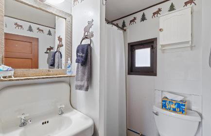 Wild Bills Cabin - Foto 13