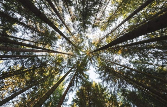 Wohnung im Teutoburger Wald Externsteine - Foto 42