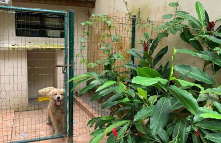 Casa de Alto Padrão em Guaecá 300m da praia - Foto 55