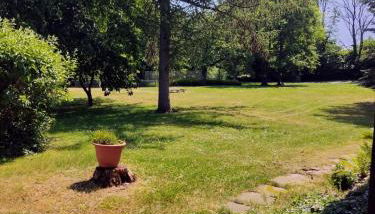 Chalet Forsthof Everstorf - Foto 4, Garden