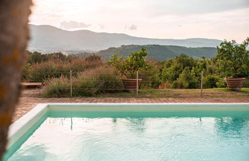 San Carlo a La Molinella - Photo 5