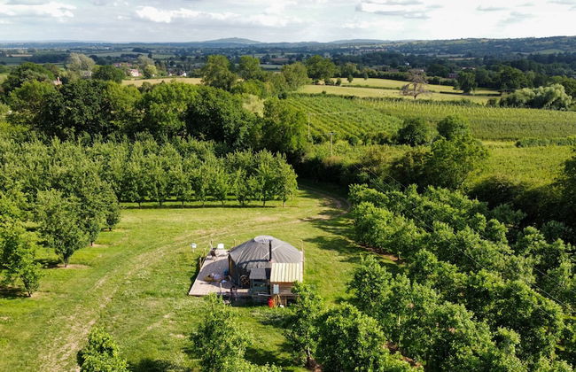 Dragon Orchard Retreat - Photo 37