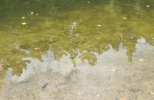 Domek w polu - Foto 57