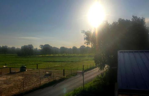 Ferienwohnung Wiesenblick - Foto 24