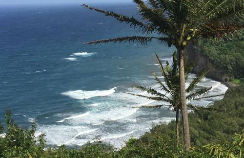 Mediteranean style Ohana Rental / Garden Bungalow in Pahoa - Photo 22