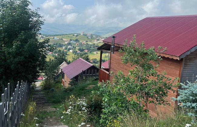 Ny Çambaşı - Foto 70