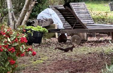 ChezMathilde à LIMOUX - Foto 26