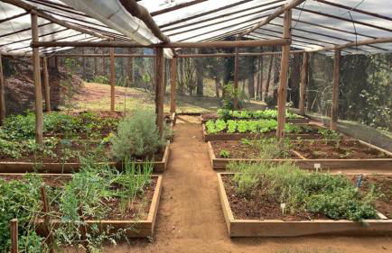 Chalé de luxo pertinho de Monte Verde - Foto 18