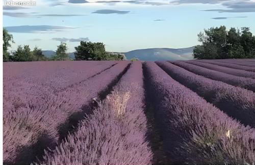 Bastide la Fondue - Foto 9