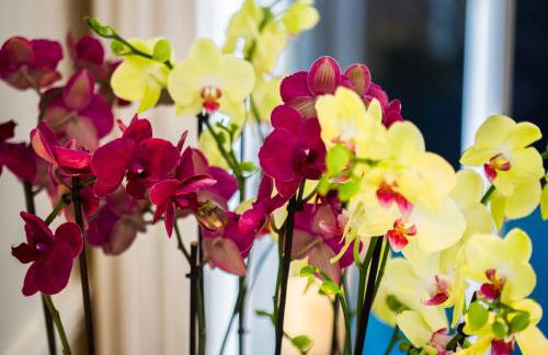 Luxury Apartment in Paris Center - Louvre Museum - Foto 21